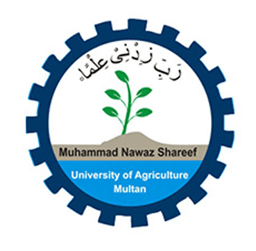 Partner institute